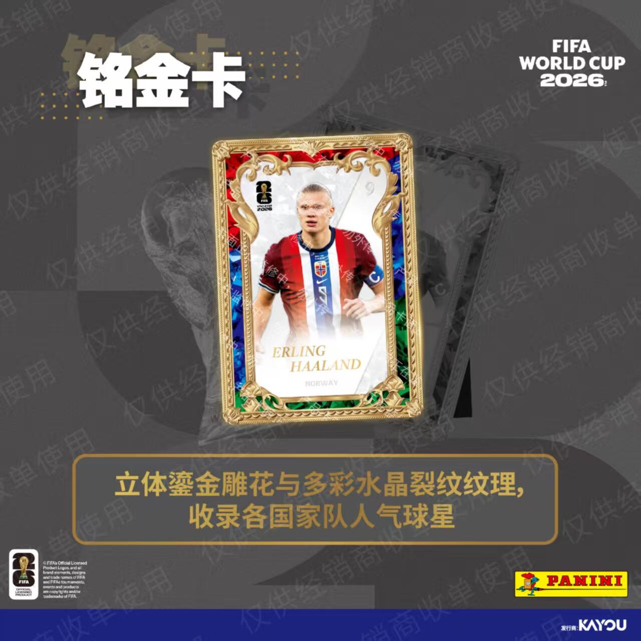 KAYOU Panini FIFA Coupe du Mon - Board Game Football avis et prix